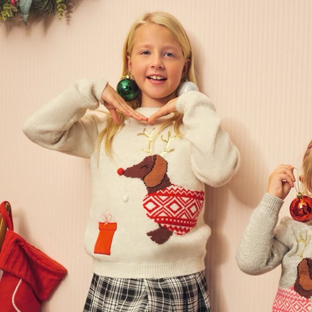 Primark Girls Holiday Reindeer Dog Sweater